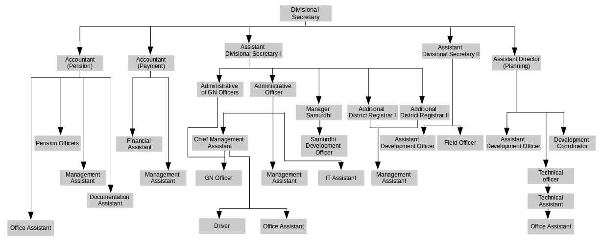 application_of_individual_business